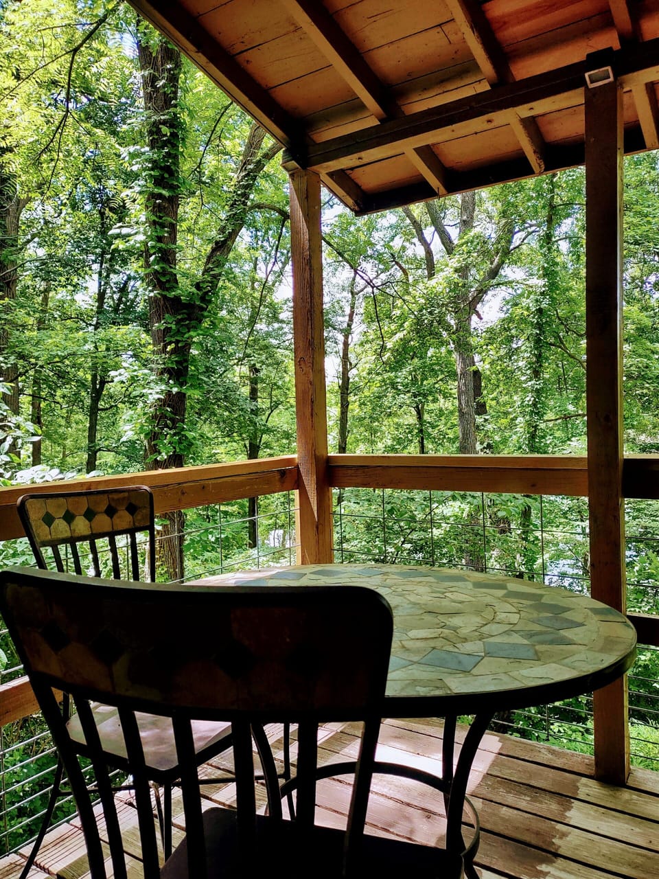 Our deck is a tree top retreat.