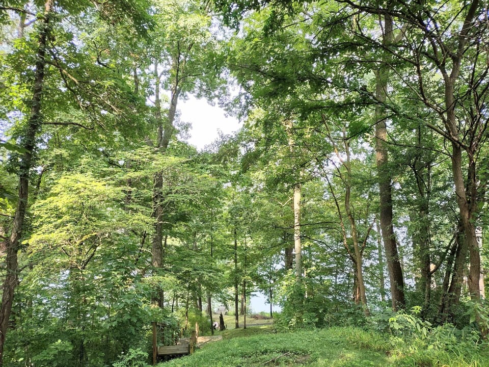 Free to use 2 kayaks and a 2 person canoe. Stairway & steep path to lake.