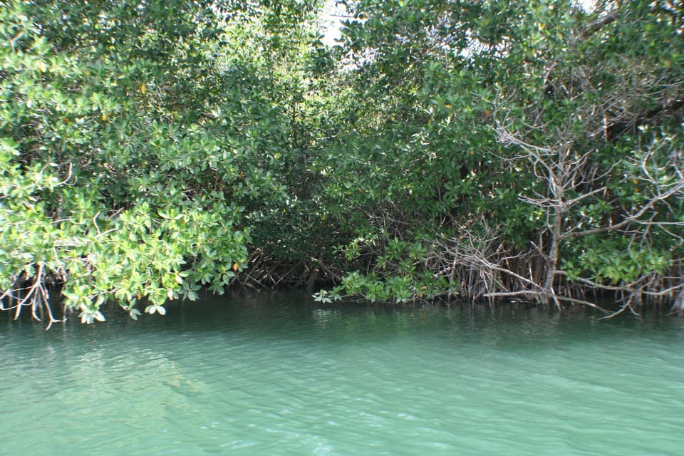 Lake