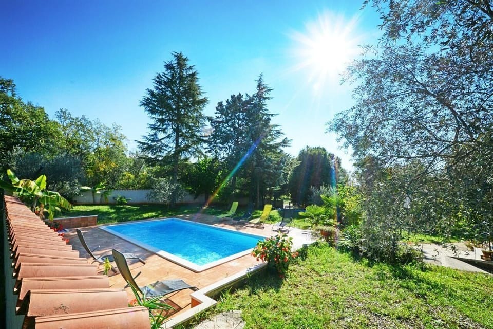 The beautiful outdoor swimming pool available for shared use in the garden.