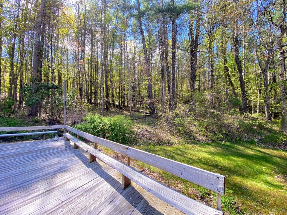4 acres of lawn and woods to explore.
