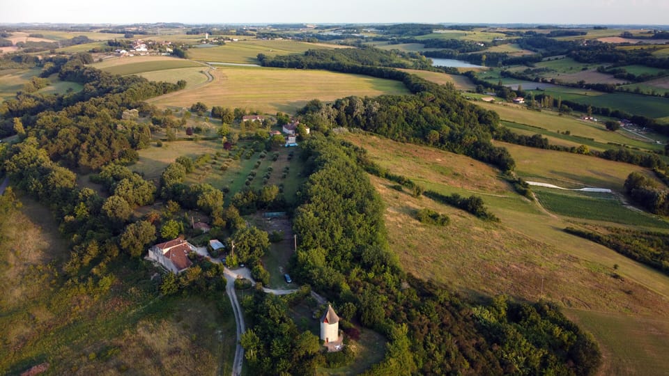 Aerial view