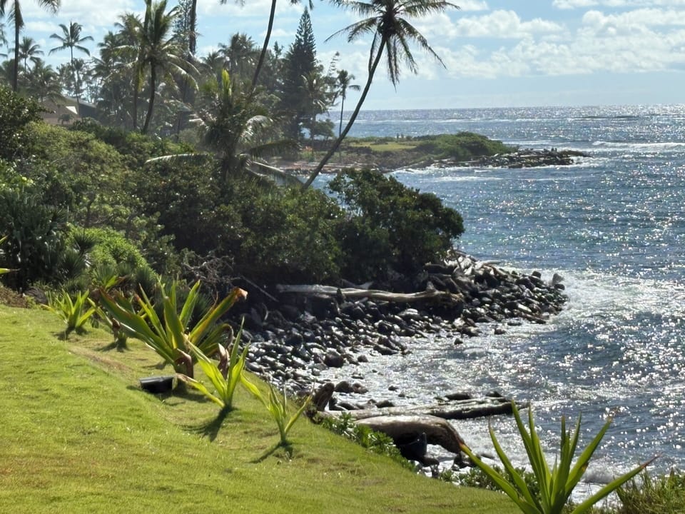 View looking North from the green lawn.