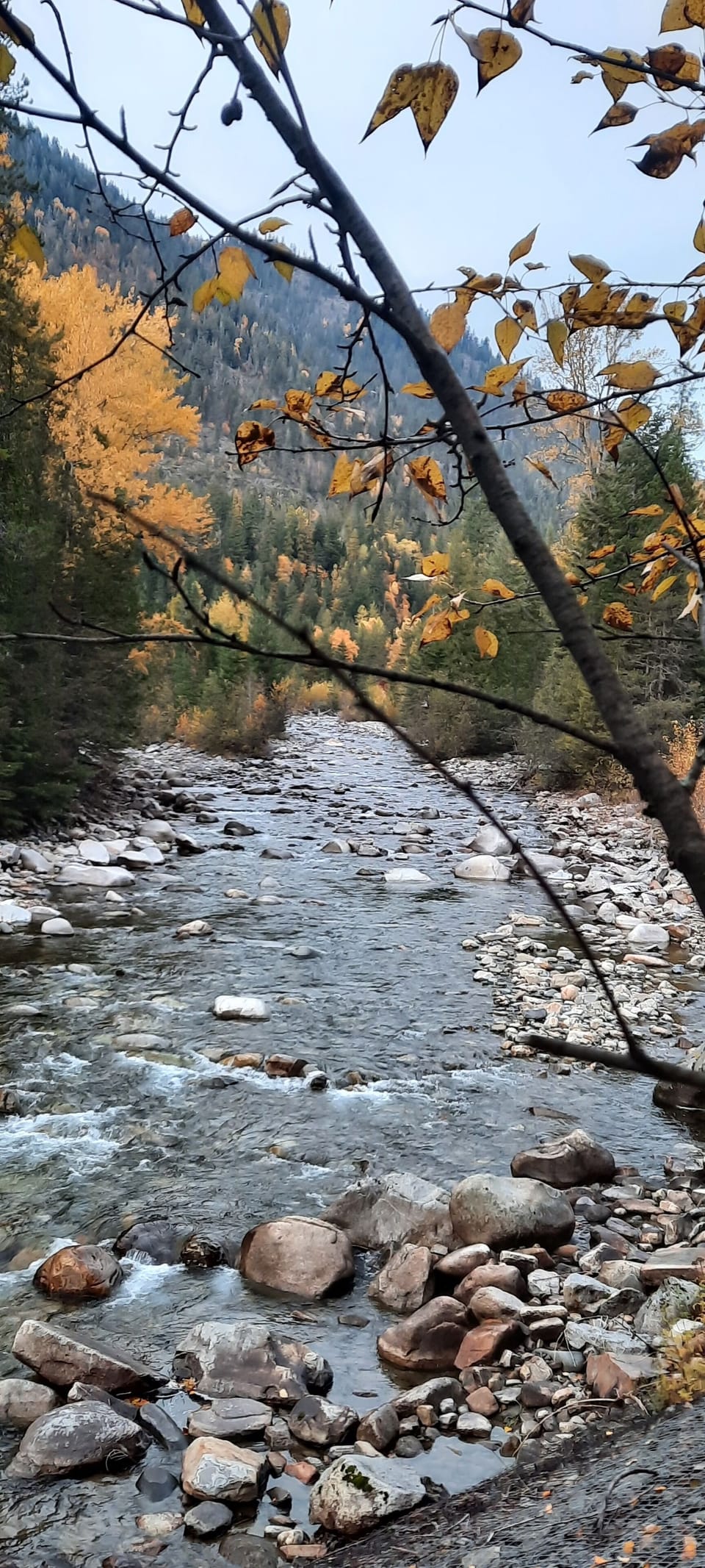 Lightning Creek in Fall