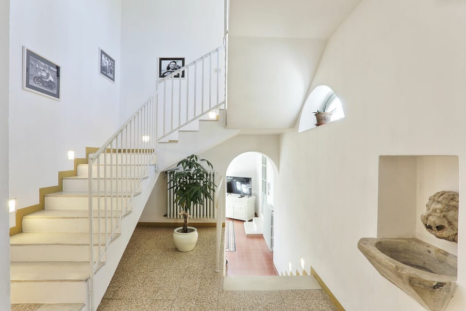 Building, Plant, Wood, Floor, Flooring, Stairs, Houseplant, Hall, Hardwood