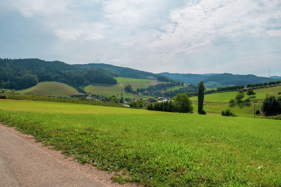 Immediate Surroundings [summer] (<1 km)