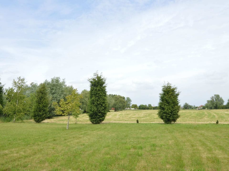 Region [summer] (>5 km)