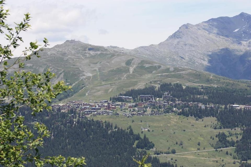 Region [summer] (>5 km)