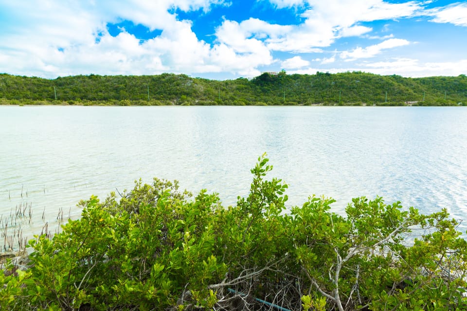 The stunning view of the flamingo lake