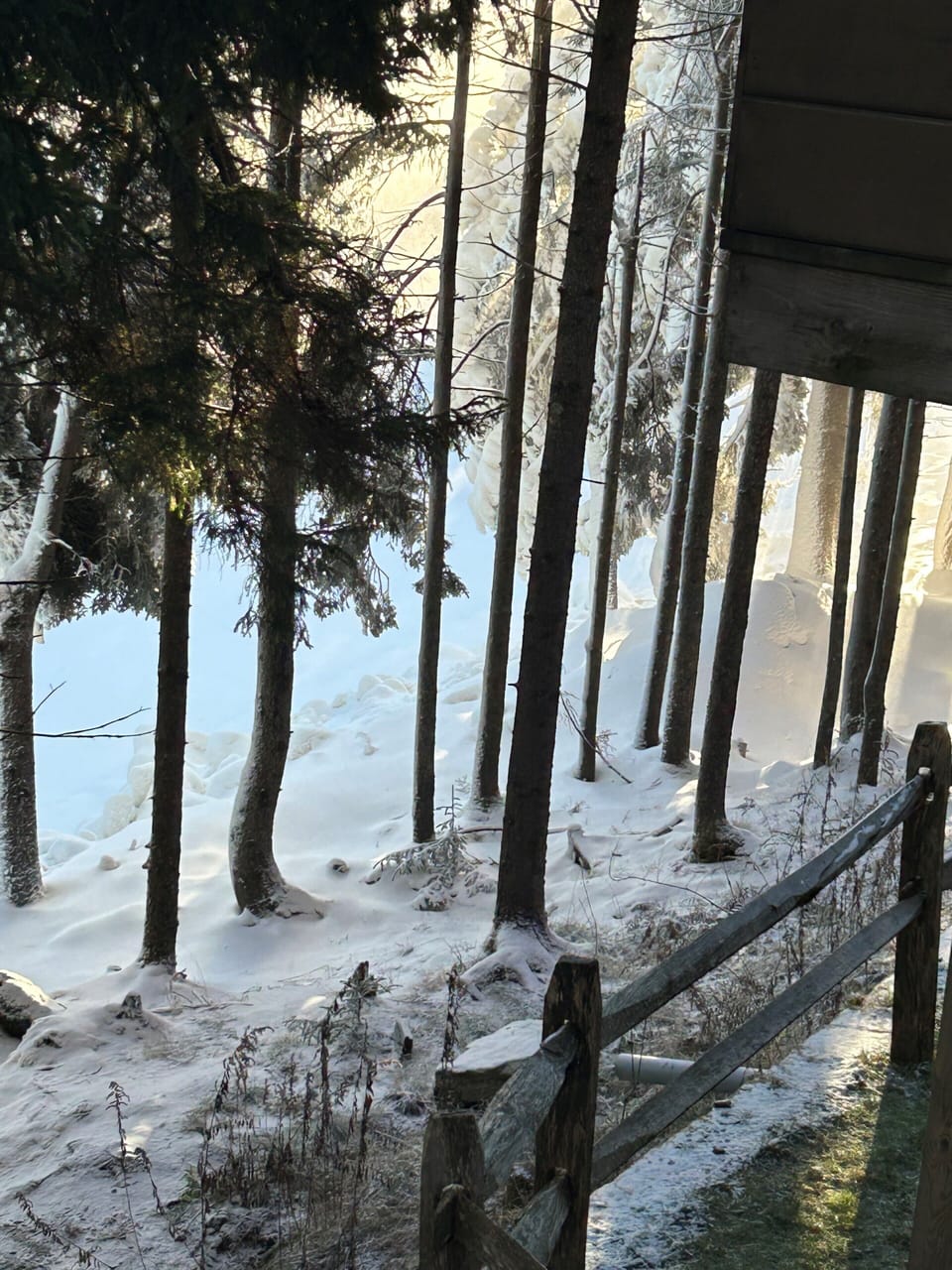 View from back deck, overlooking Upper Flume (Green run)