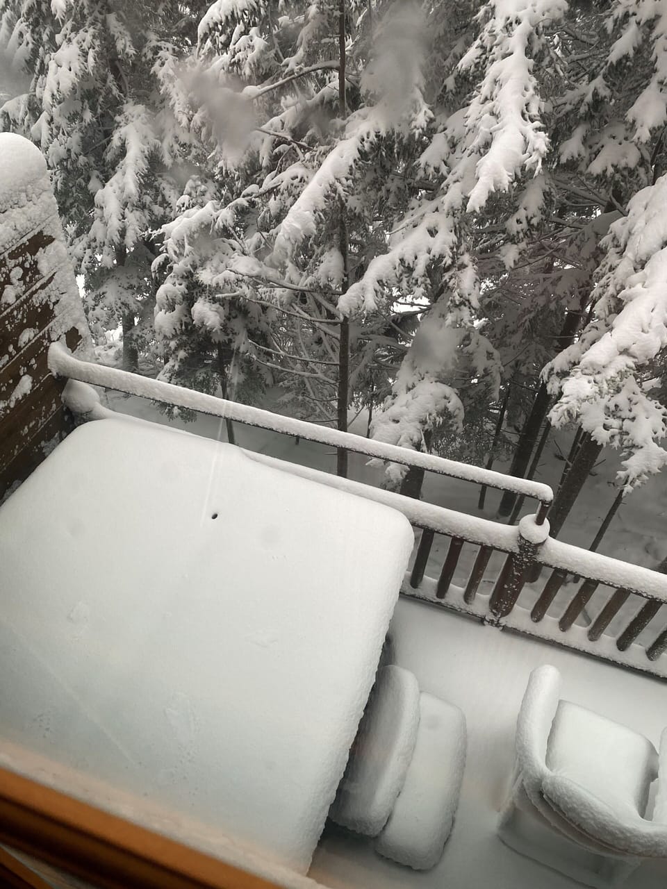 winter wonderland
