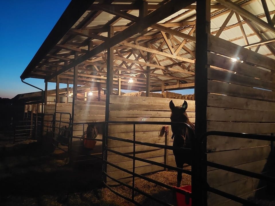 We have stalls available to rent too