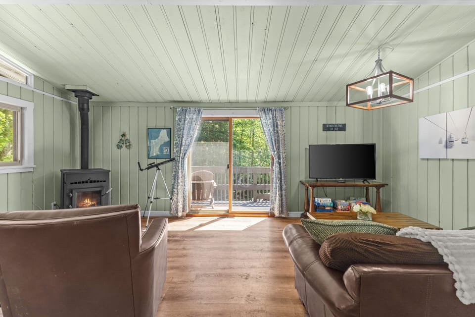 Wood Pellet Stove and TV