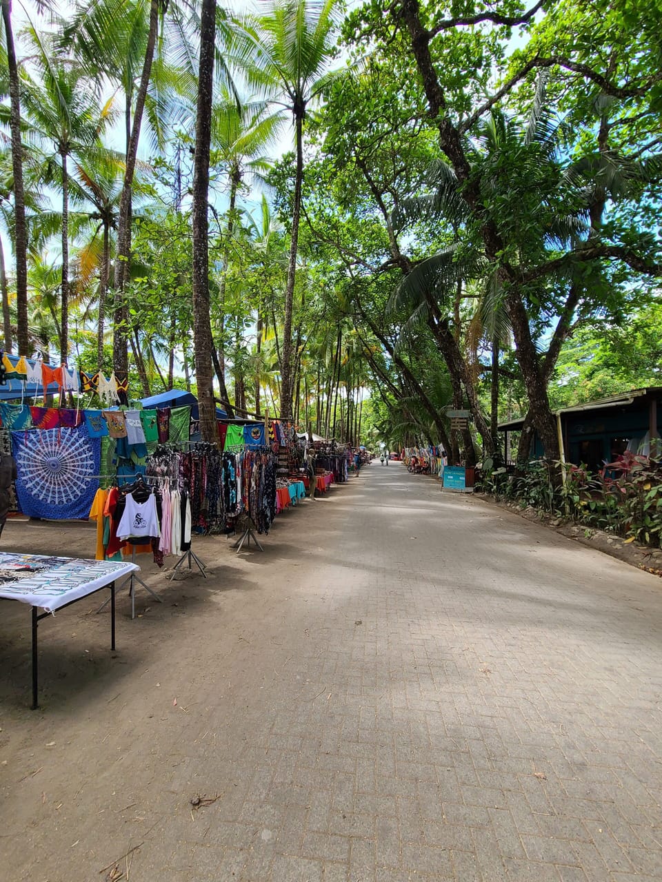 closest beach town near the house Dominical 