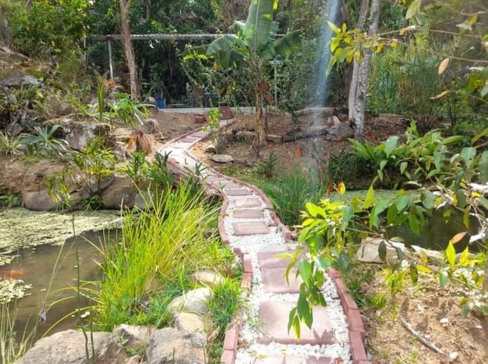 path to our waterfall 