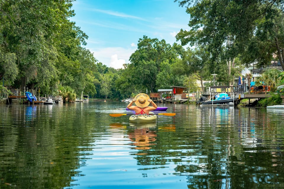 Kayaking is our favorite! We see manatees, mullets, turtles, even dolphins!