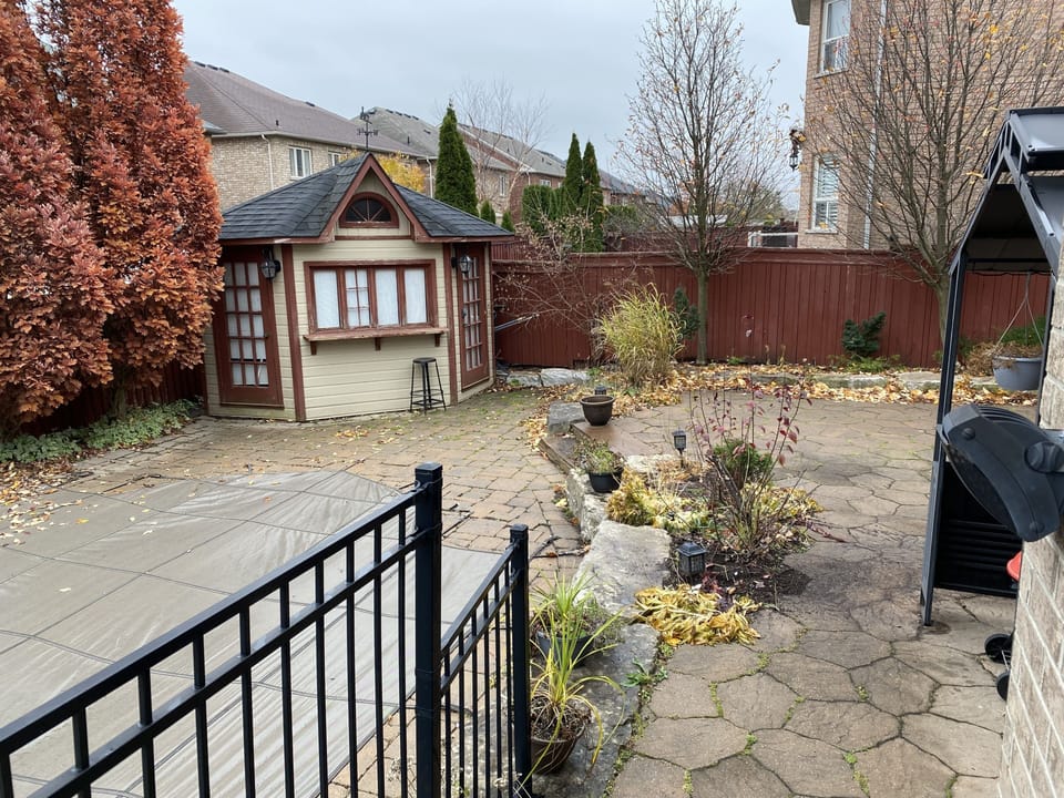Backyard