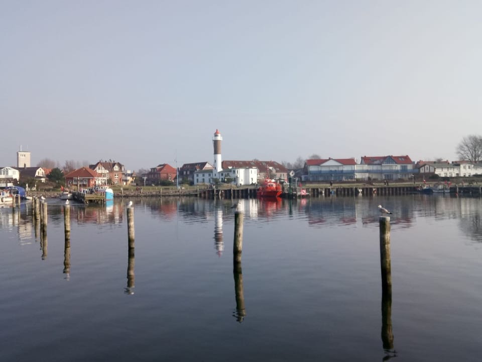 Region [summer] (>5 km)