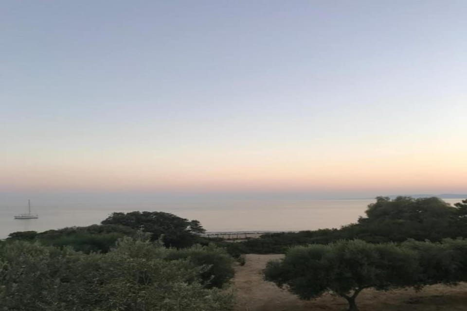 Immediate Surroundings [summer] (<1 km)