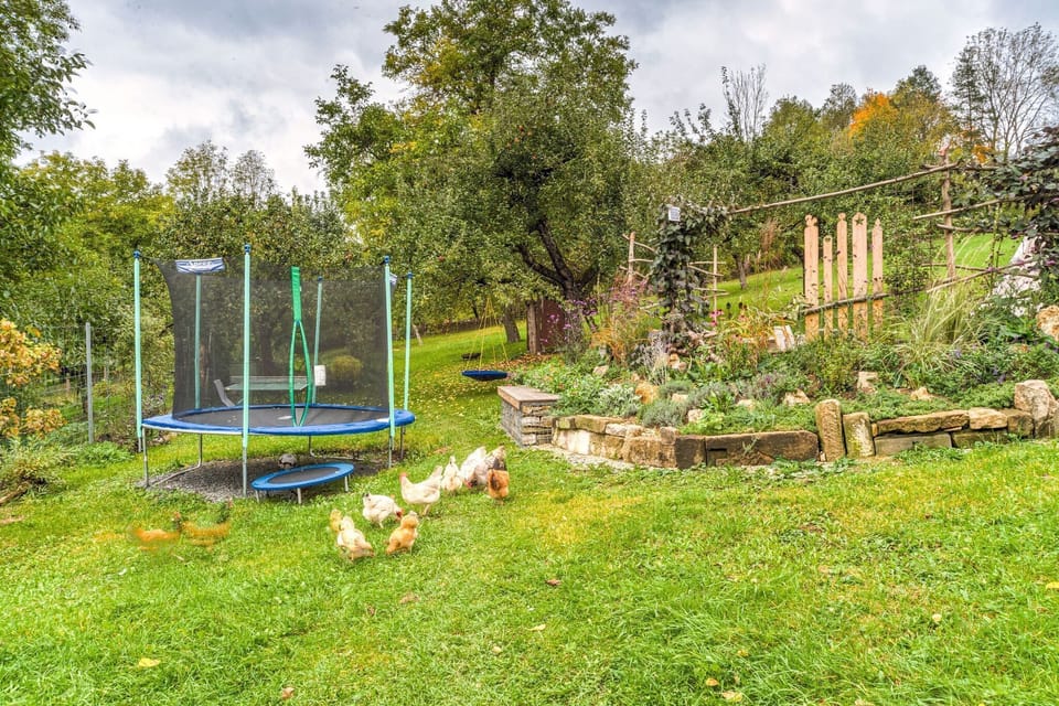 Garden [summer]