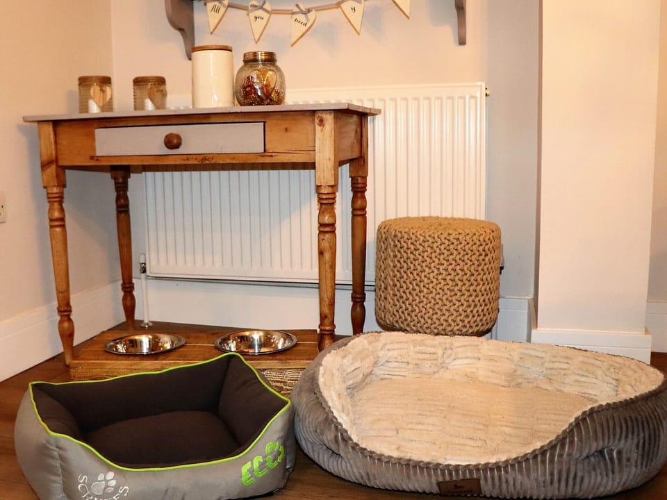 Dog beds