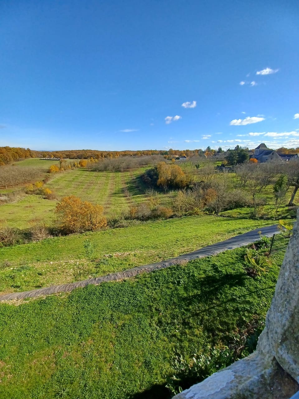 View from property