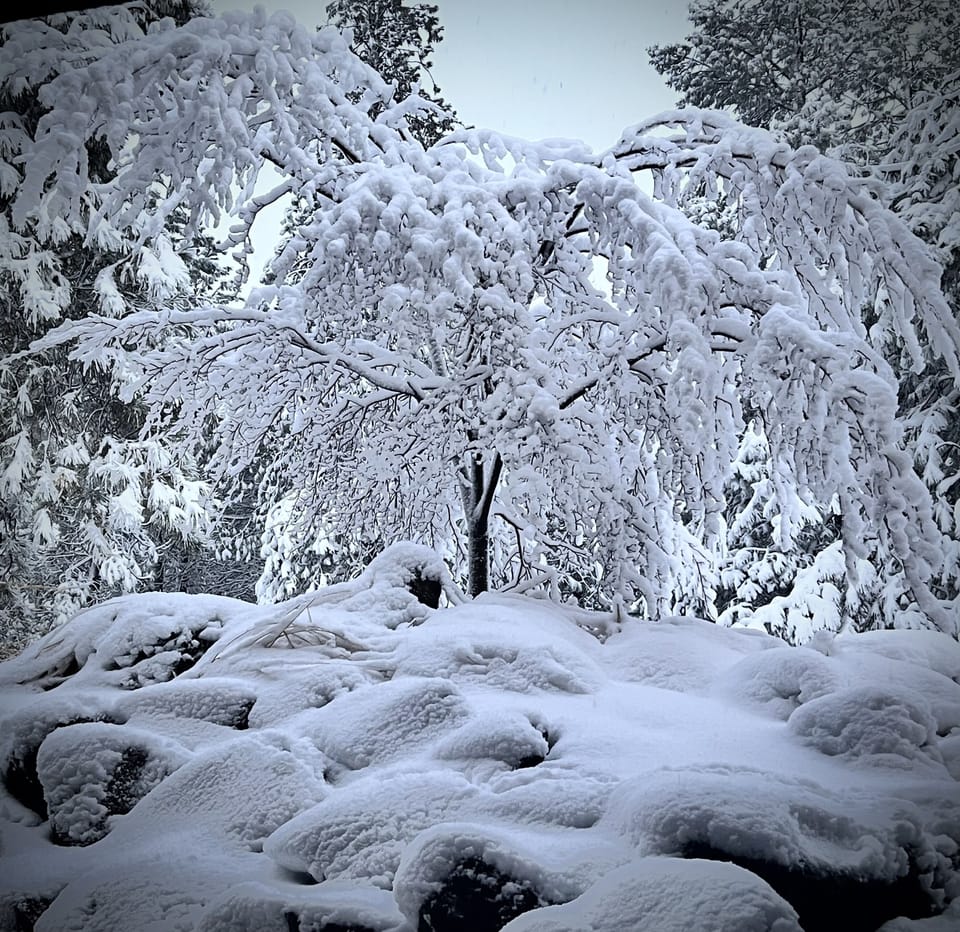 Stunning view from bed after a storm