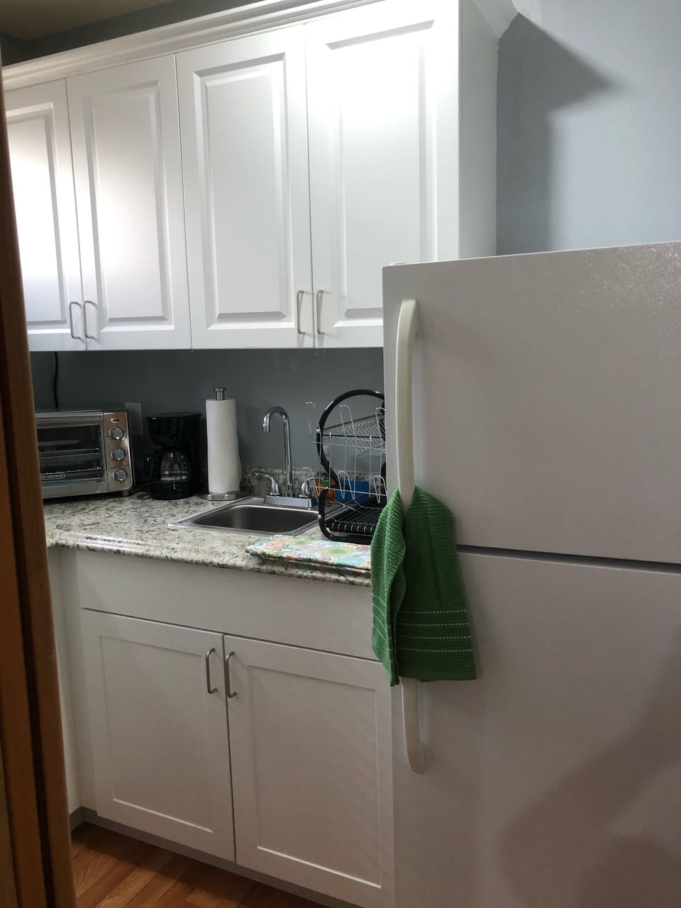 Kitchen and fridge 
