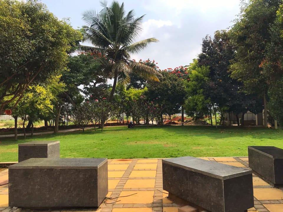 FAMILY AREA 