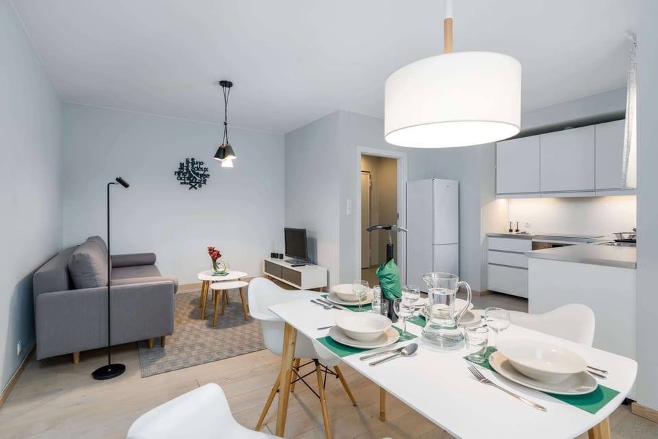 The elegant living room featuring a comfortable double sofa bed.