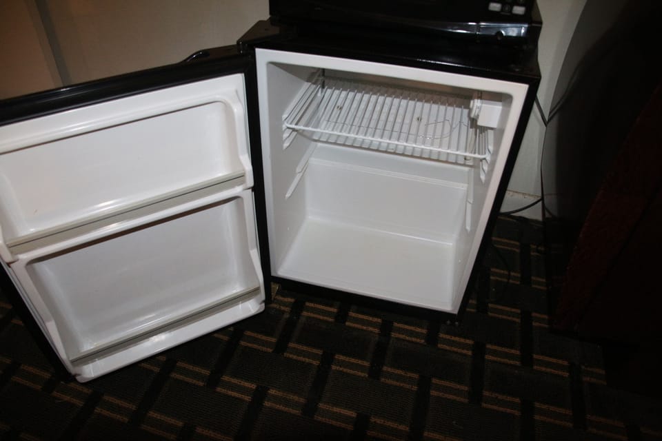 Mini Refrigerator