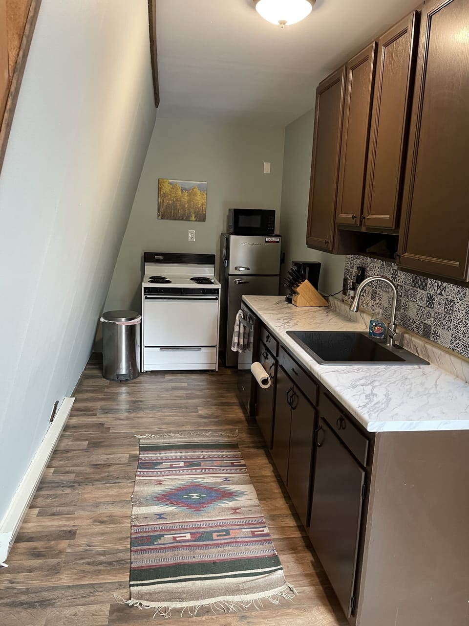 Kitchen (dishwasher, oven, fridge, microwave)