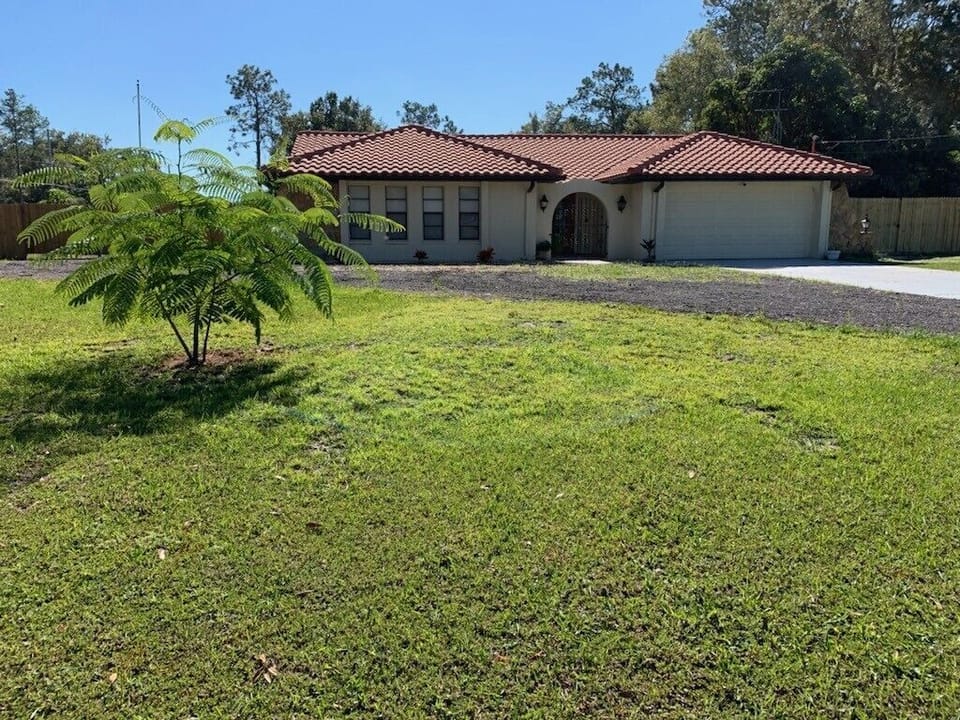 Front yard and driveway