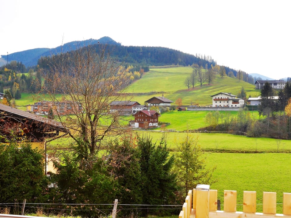 View from Holiday Home [summer]