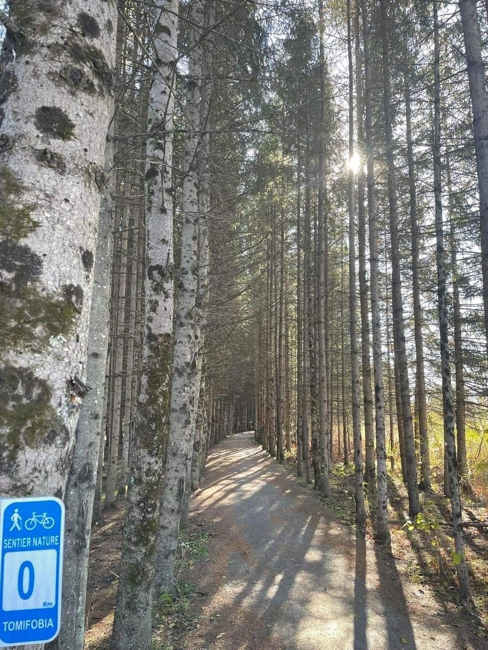 Tomifobia Nature Path is in walking distance from the house