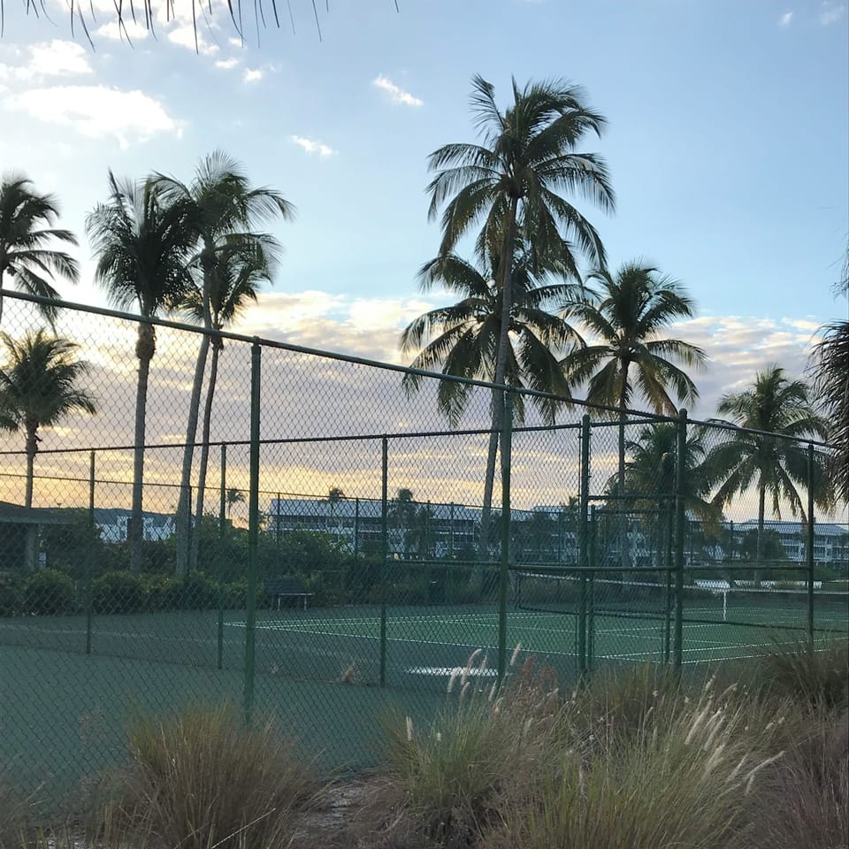 Sport court