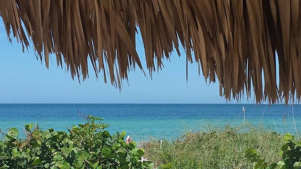 This could be your view!  Daytime at the Tiki Hut