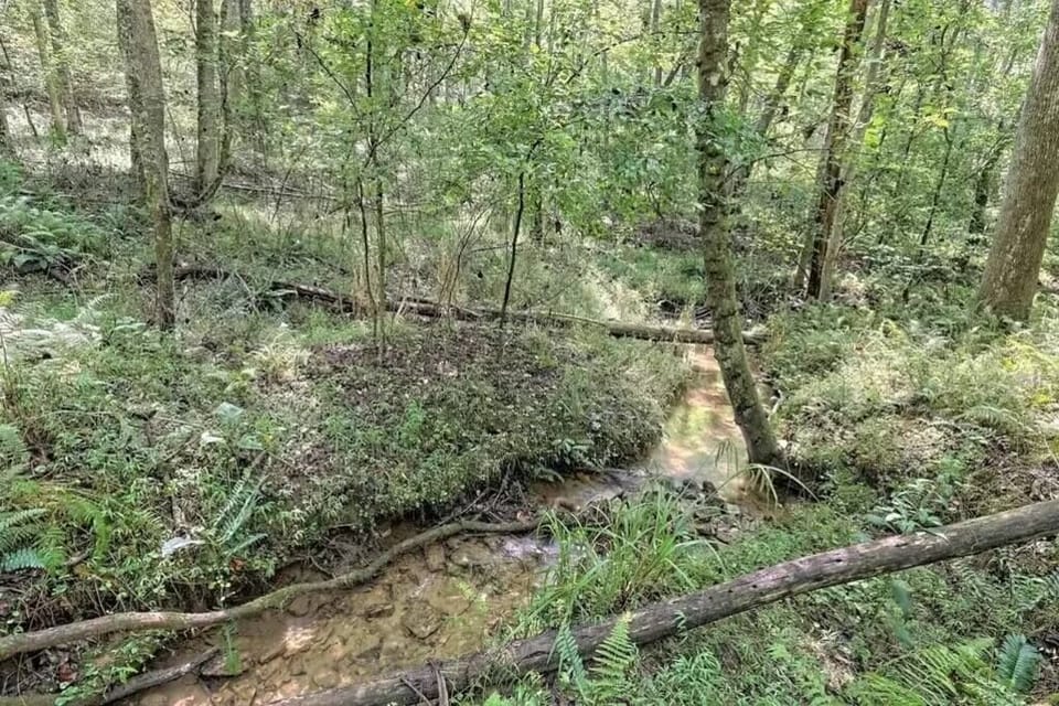 Blackberry Creek on property