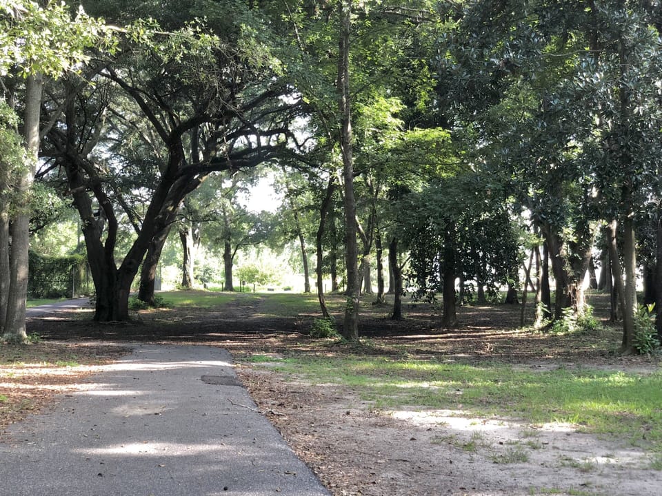 Neighborhood Walking Path