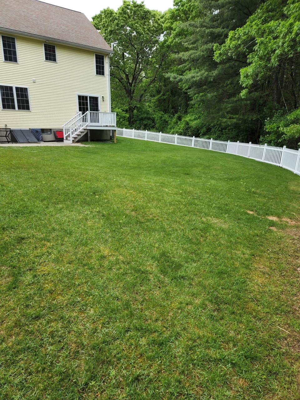 Fenced in backyard