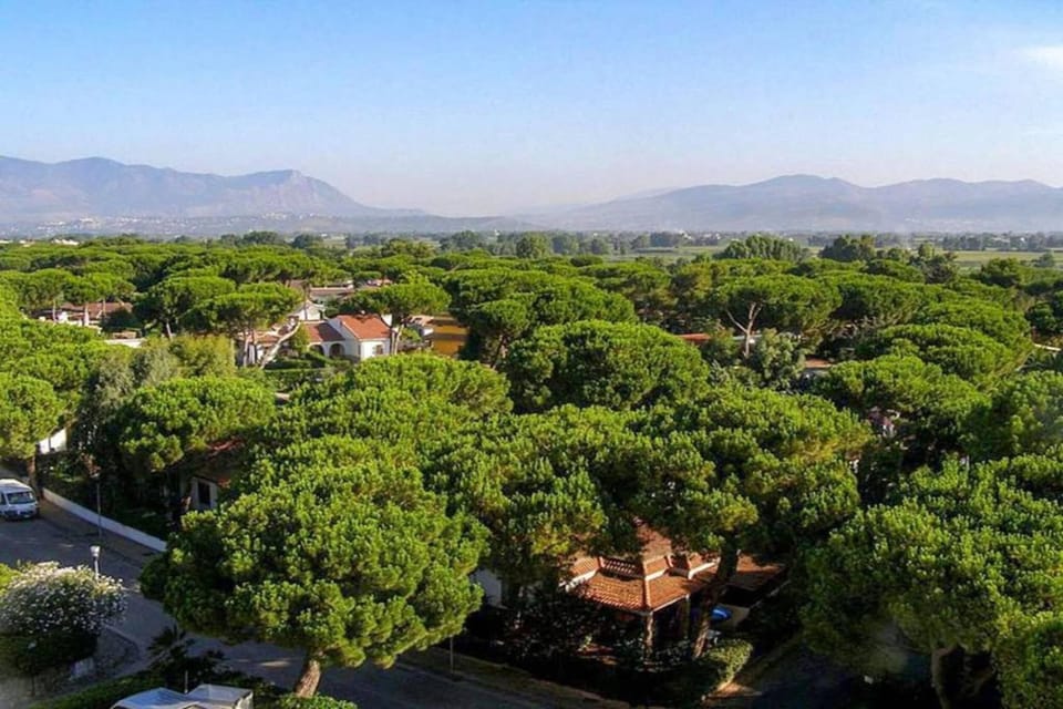 Immediate Surroundings [summer] (<1 km)