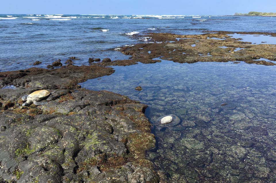 Wander tide pools and watch waves sparkle in the sun.