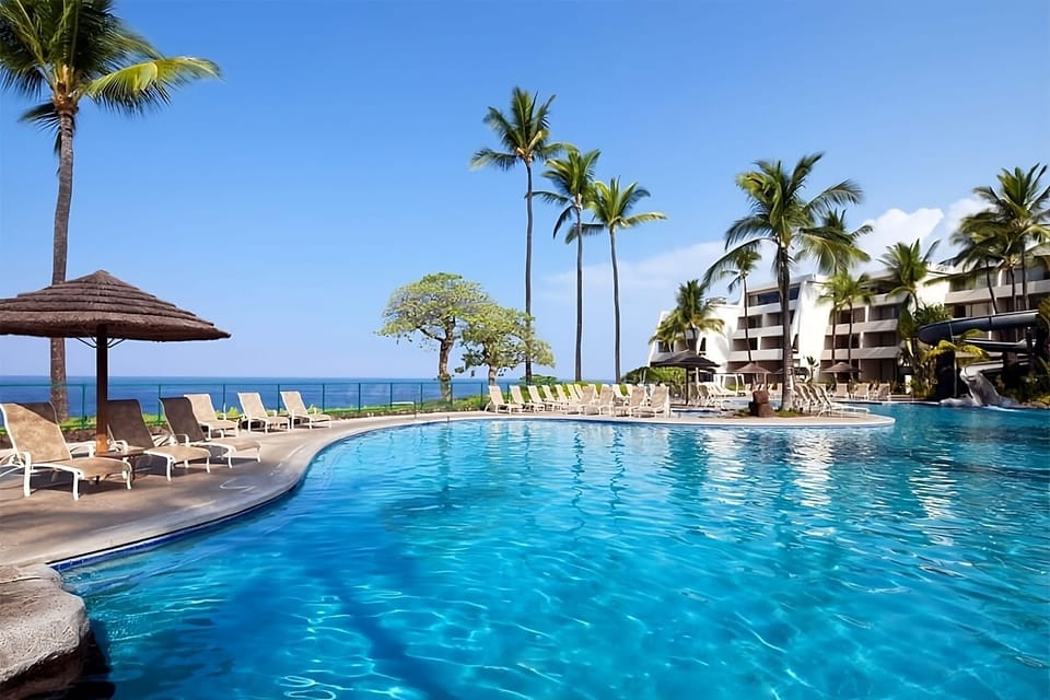 Dive into a sparkling oceanfront pool framed by palms.