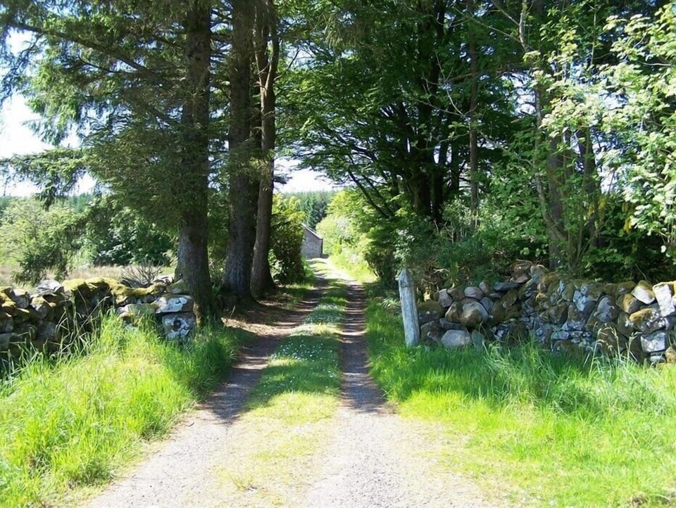 11068791-8b42-4432-9daf-af2bf2e956f5