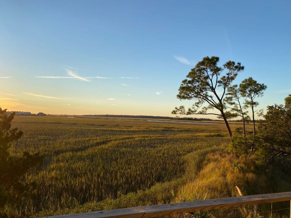 View from property
