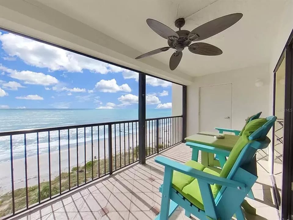 Dolphin Watching from the Balcony