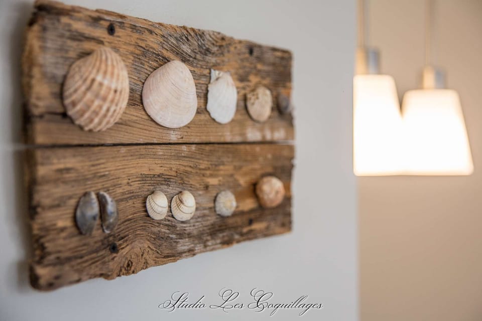 Studio Les Coquillages - Living room (Decoration detail)