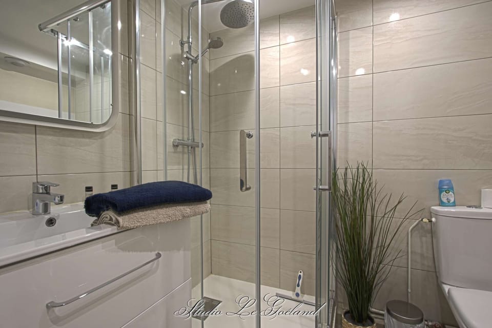 Studio Le Goéland - 3/4 bathroom (Walk-in shower, Sink, Large mirror, Storage, Toilet, Heated towel rail, Hair dryer)