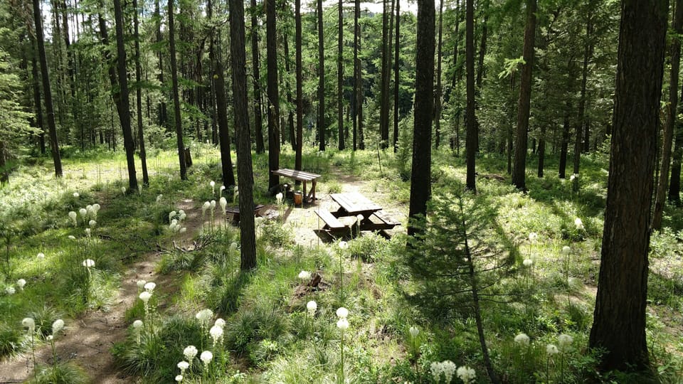 Fire ring and picnic table.