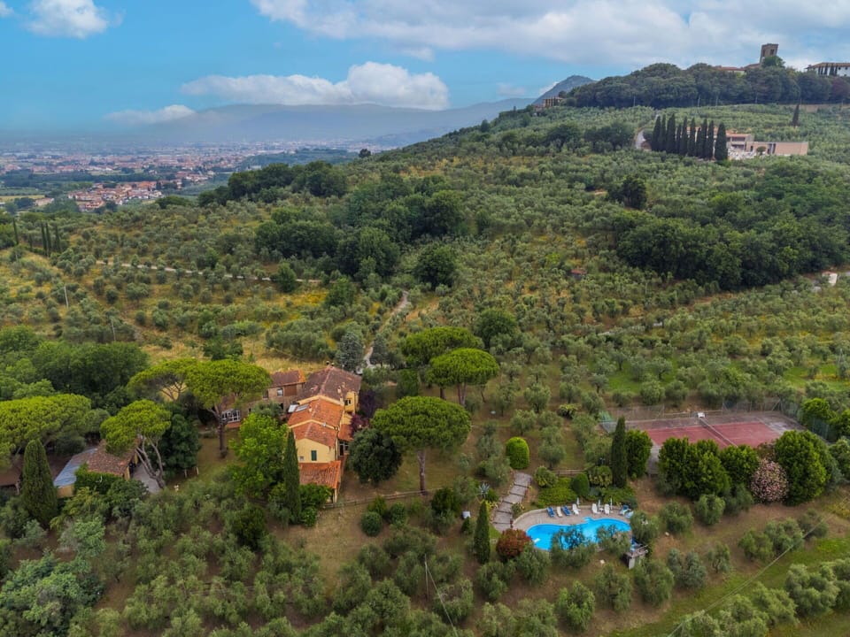 Water, Sky, Plant, Property, Swimming Pool, Azure, Shade, Outdoor Furniture, Sunlounger, Tree